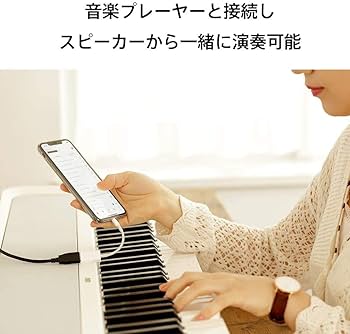 Amazon | KORG コルグ / B2-BK (ブラック)【純正ダストカバー