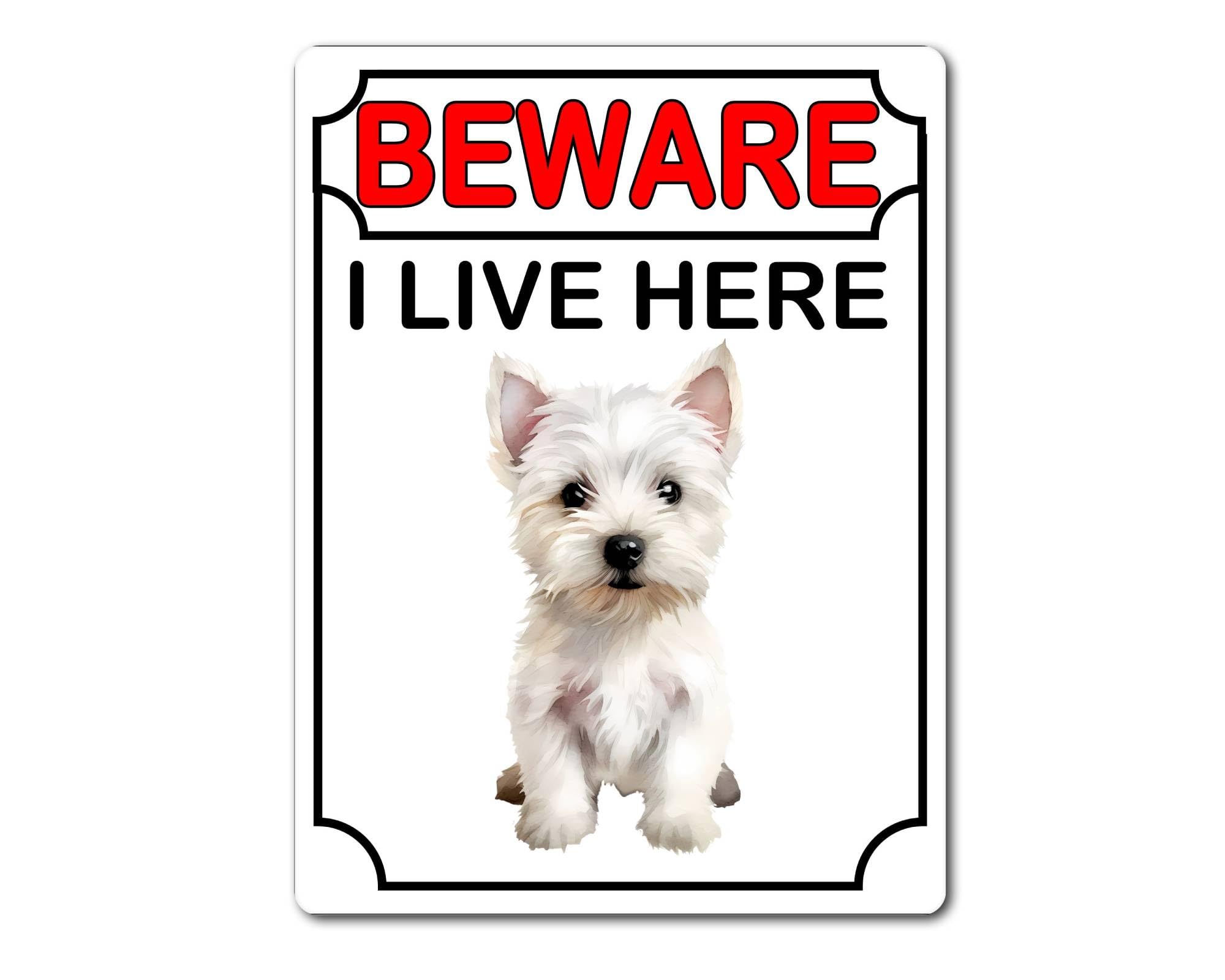 Decalarama Westie Metal Sign Gift – Beware I Live Here - Cute Fun Dog Novelty Aluminium Present