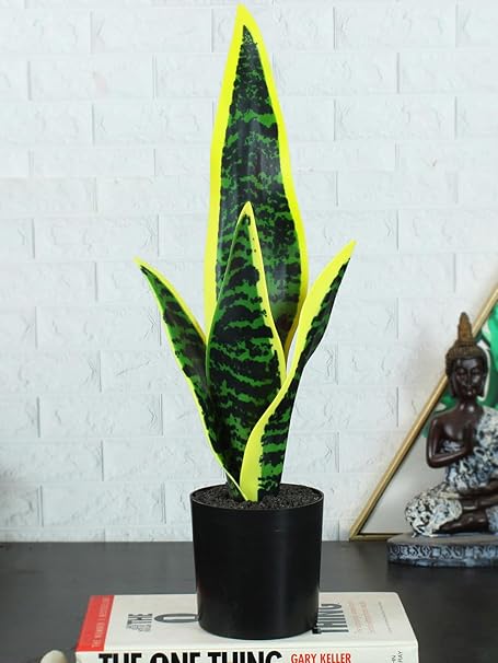 TIED RIBBONS Artificial Snake Plant with Pot for Home Decor Table Living Room Bedroom Office Restaurant Indoor Outdoor Decorative Fake Sansevieria Potted Plants (Multi, 35.5 cm x 9.6 cm)