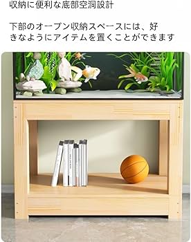 61x3j3a0RKL._AC_UF350,