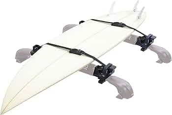 61x3j63SPlL._AC_UF350,