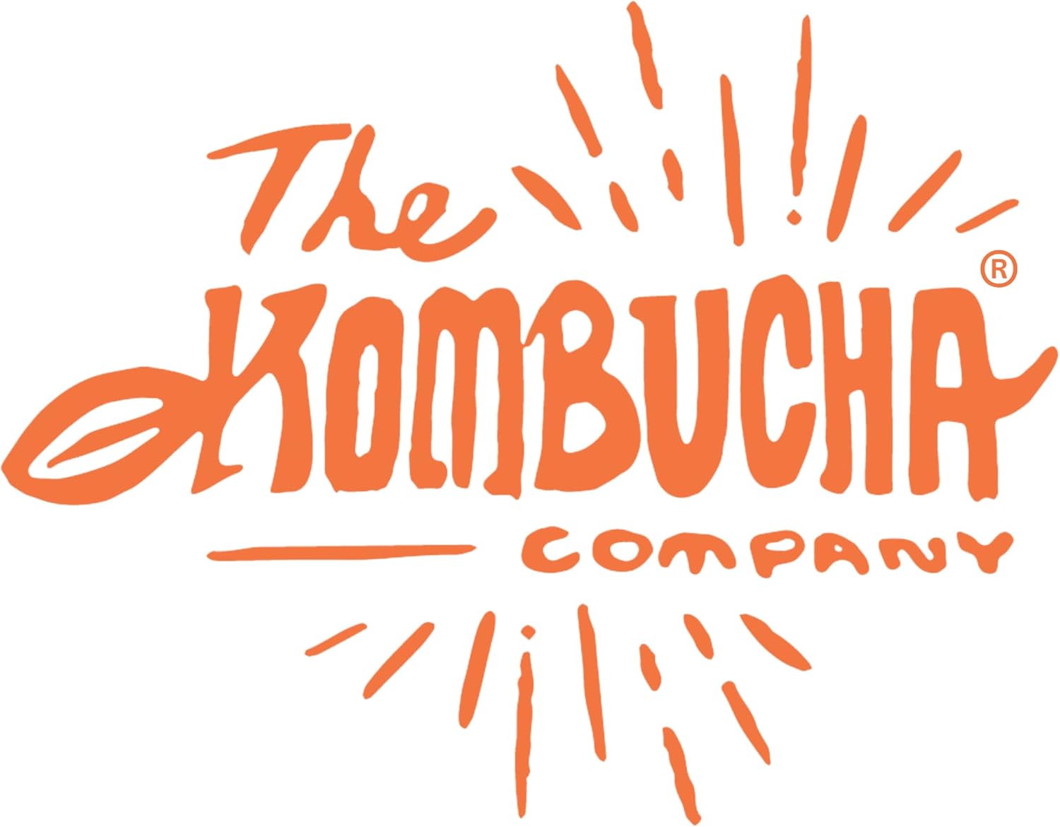 120mm (4 7/8 ") Fit - (3 Pack) White Plastic Lids for 1 Gallon Wide Mouth Glass Jars – PE Foam Liner, Food-Grade, Leak-Resistant Caps (Jars Not Included) by The Kombucha Company - Image 6