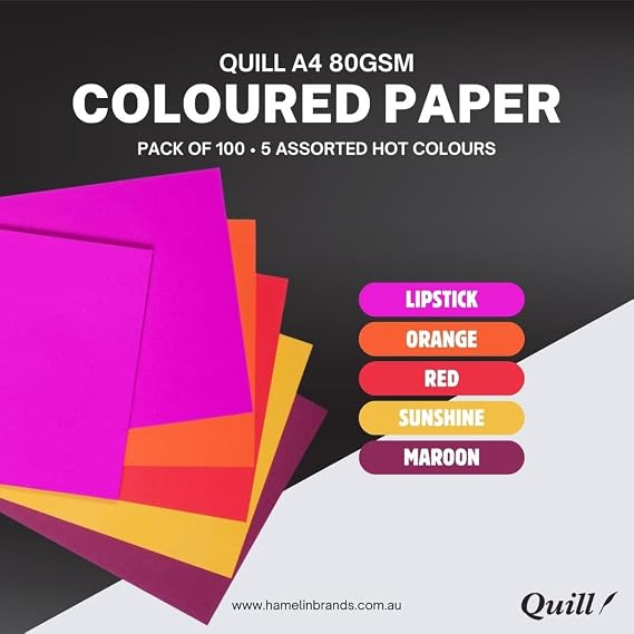 100 Assorted Coloured Paper Quills A4 80gsm