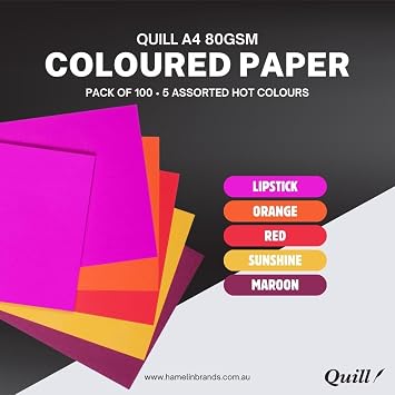 100 Assorted Coloured Paper Quills A4 80gsm