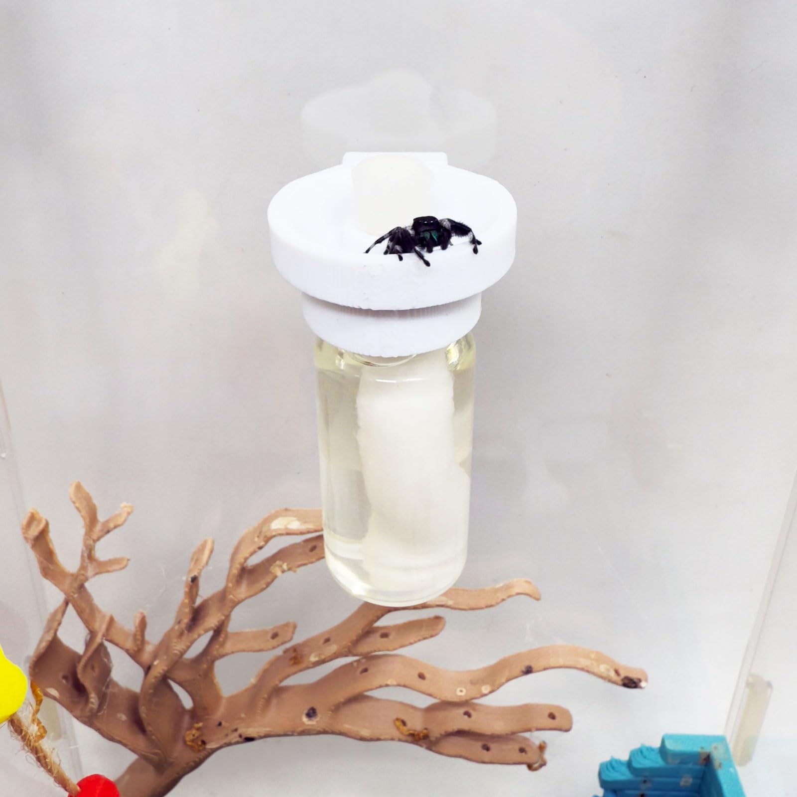 Jumping Spider Water Dispenser, Magnetic Hanging Feeder,Suitable for Jumping Spiders,Tarantulas, Praying Mantises,Arboreal Animals, and Other Small Animal Enclosure Accessories (Wood Color, 5ML) — view 15