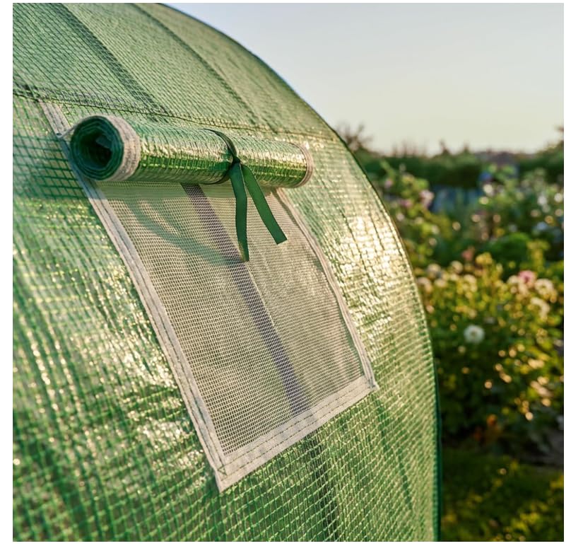 BDW Serra con struttura in metallo e pellicola in polietilene, 100 x 200 x 210 cm, protezione UV, 1 porta e 2 finestre, acciaio verniciato a polvere (verde)