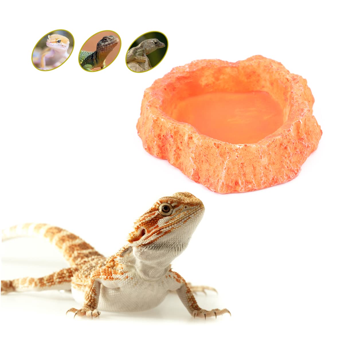 Toddmomy Simulation Reptile Feeding Bowl Thick Non Skid Dish for Lizard and Turtle Easy Clean Orange Crawling Food Container for Reptile Supplies and Water Storage