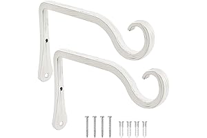 BOLITE Indoor Plant Hangers from Wall: Beautify Your Space with Style