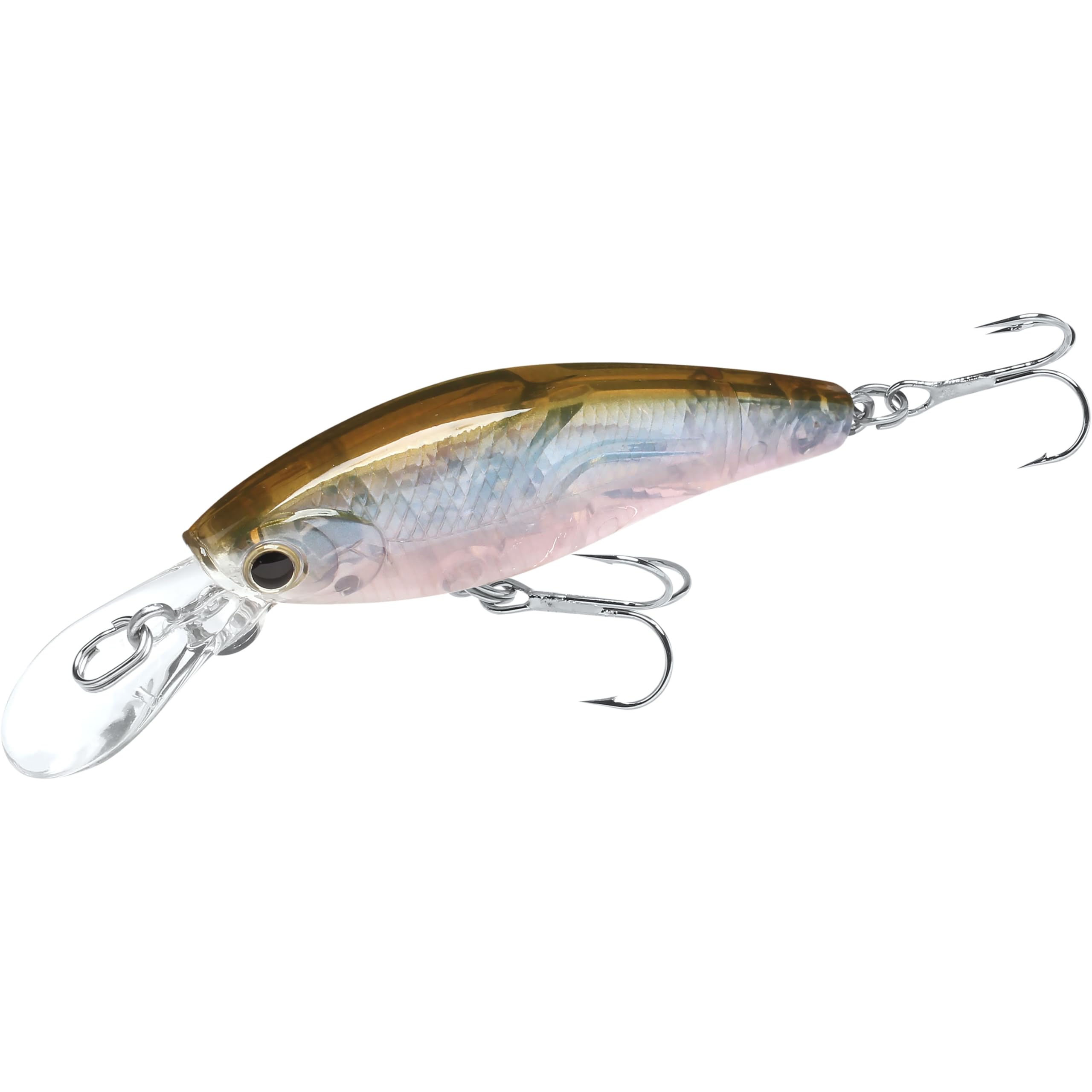 Amazon | ラッキークラフト(LUCKY CRAFT)タンゴ55S シンキング