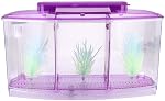 Aquarium, petit aquarium à trois zones, pour Betta et petits poissons (Violet)