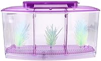 Vista 3 de Acuario pequeño de acrílico de tres áreas, mini pecera, para Betta para peces pequeños (morado)