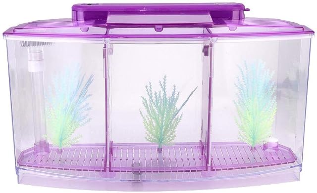 Aquarium, petit aquarium à trois zones, pour Betta et petits poissons (Violet)