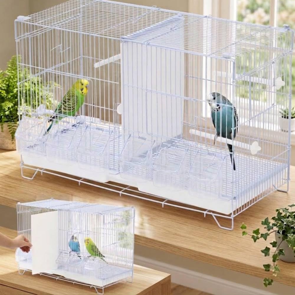Amazon | 鳥かご 仕切り付き 2羽 (高さ40×幅59×奥行き26cm) 鳥小屋