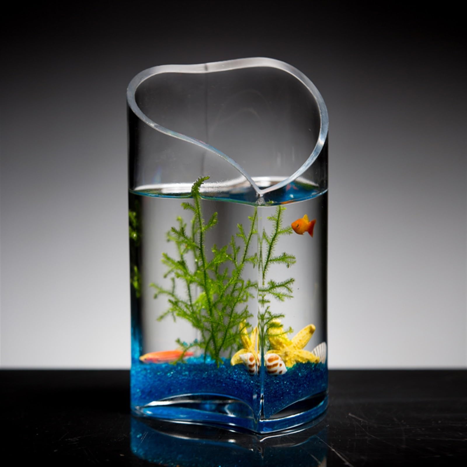Acquario per Pesci Piccolo Acquario for Pesci Rossi in Vetro, Mini Acquario da Tavolo, Acquario Creativo a Forma di Cuore, 12,5 cm x 22,5 cm Acquari