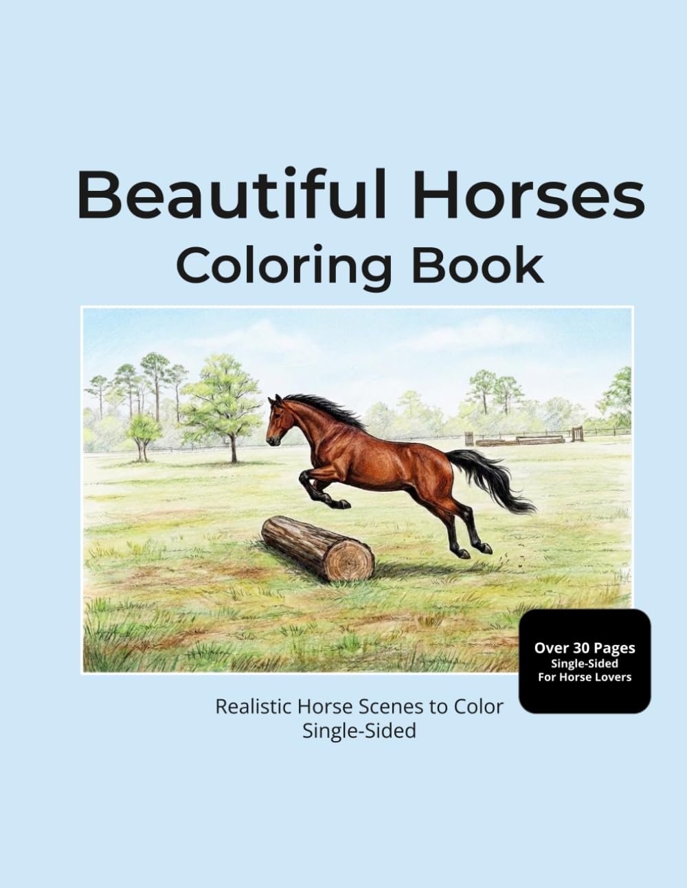 Beautiful Horses Coloring Book