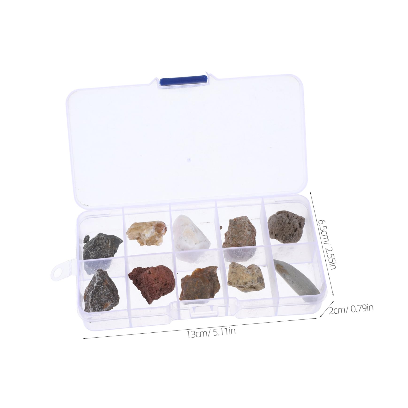 GLEAVI Educational Rock Collection for Boys and Girls Boys and Girls-Friendly Rocks and Minerals Set for Classroom Use