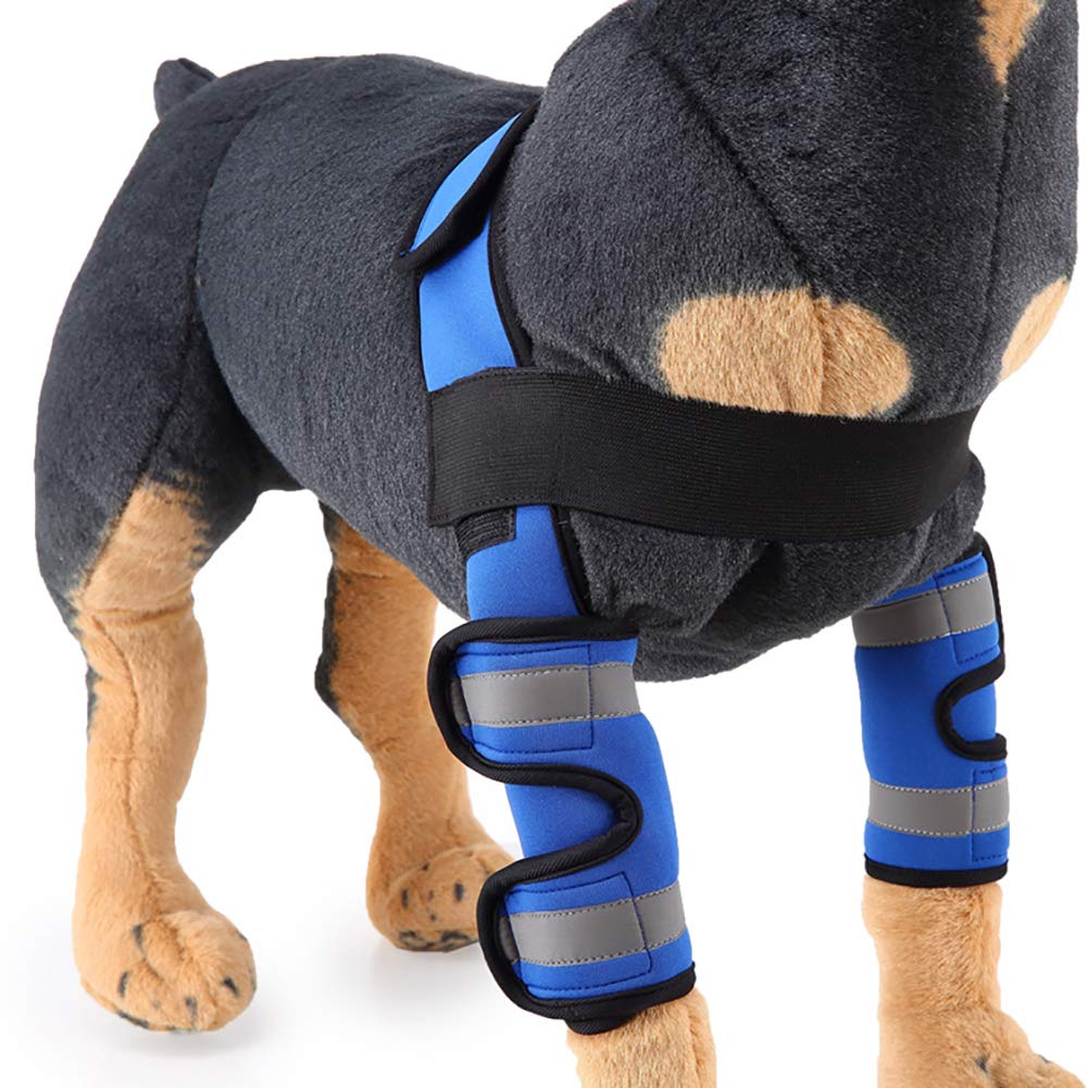 Attelle de coude pour animal de compagnie bleu S blessure entorse