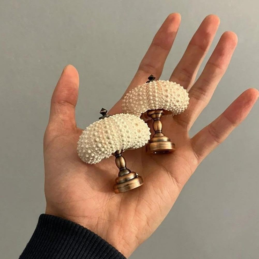 Amazon.co.jp : ウニの殻のナイトランプ、クリエイティブなビーチを