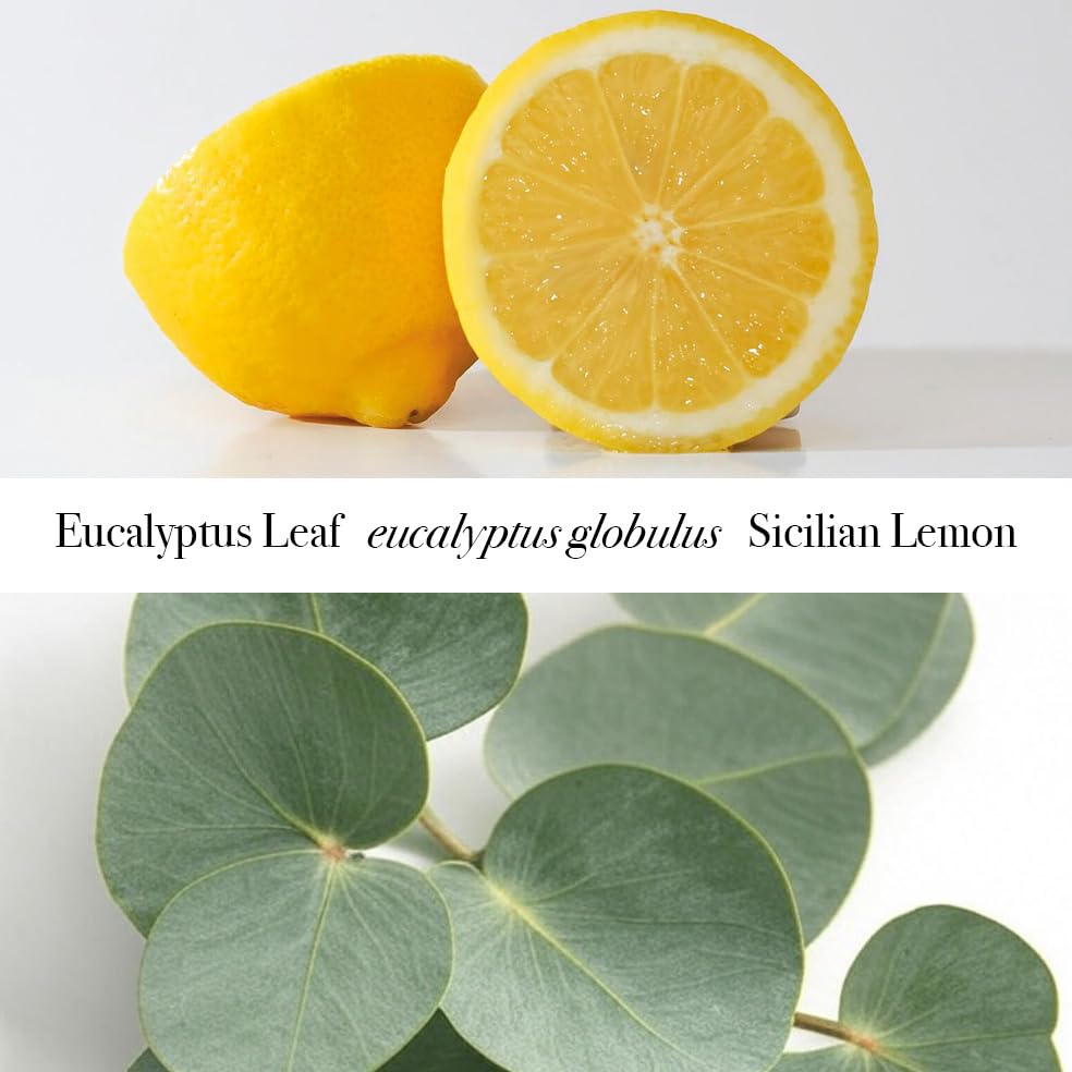 Castello de Haye, Eucalyptus & Lemon Aromatherapy Room Mist Spray 1 x 100ml - Image 5