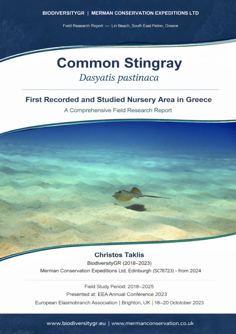 Common Stingray (Dasyatis pastinaca): First Recorded and Studied Nursery Area in Greece: A Comprehensive Field Research Report