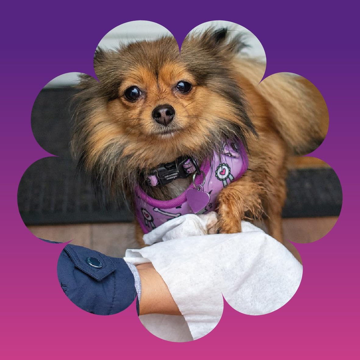 Allround Giant Pet Towels | 50 Huge Pet Wipes