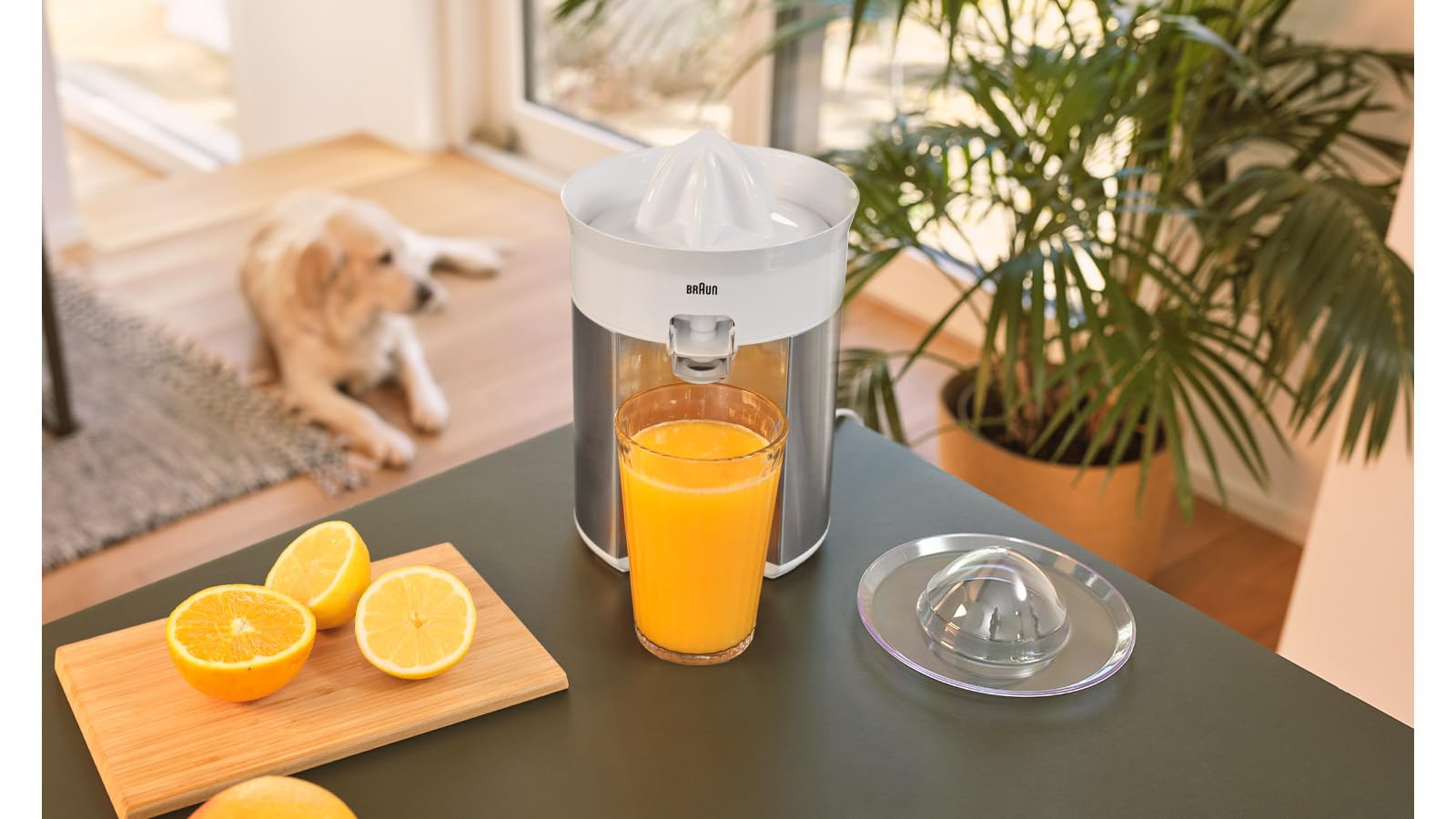 Braun CitrusQuick 5 CJ5050 WH wyciskarka do cytrusów, bezpośredni wylot soku, zabezpieczenie przed kapaniem, automatyczny start/stop, łatwe czyszczenie, system bezpośredniego serwowania, z pokrywą