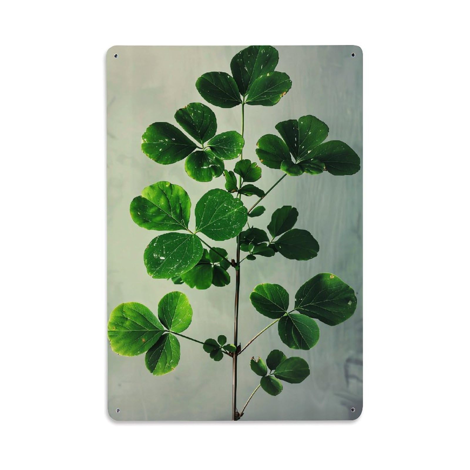 Jdfenggu Vintage Green Leaves On Stem Pattern Retro Metal Tin Sign, Metal Poster For Bar, Home, Man Cave, Kitchen, Laundry Room Art Decor 8X12 Inch
