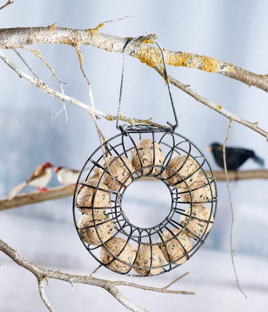 Dehner Natura Vogelfutter | Wildvogelfutter | Meisenknödel ohne Netz | energiereiches Premium Ganzjahresfutter | Fettfutter mit Nüssen | für Meisen und Rotkehlchen | im Vorratseimer | 100 Stück | 9 kg