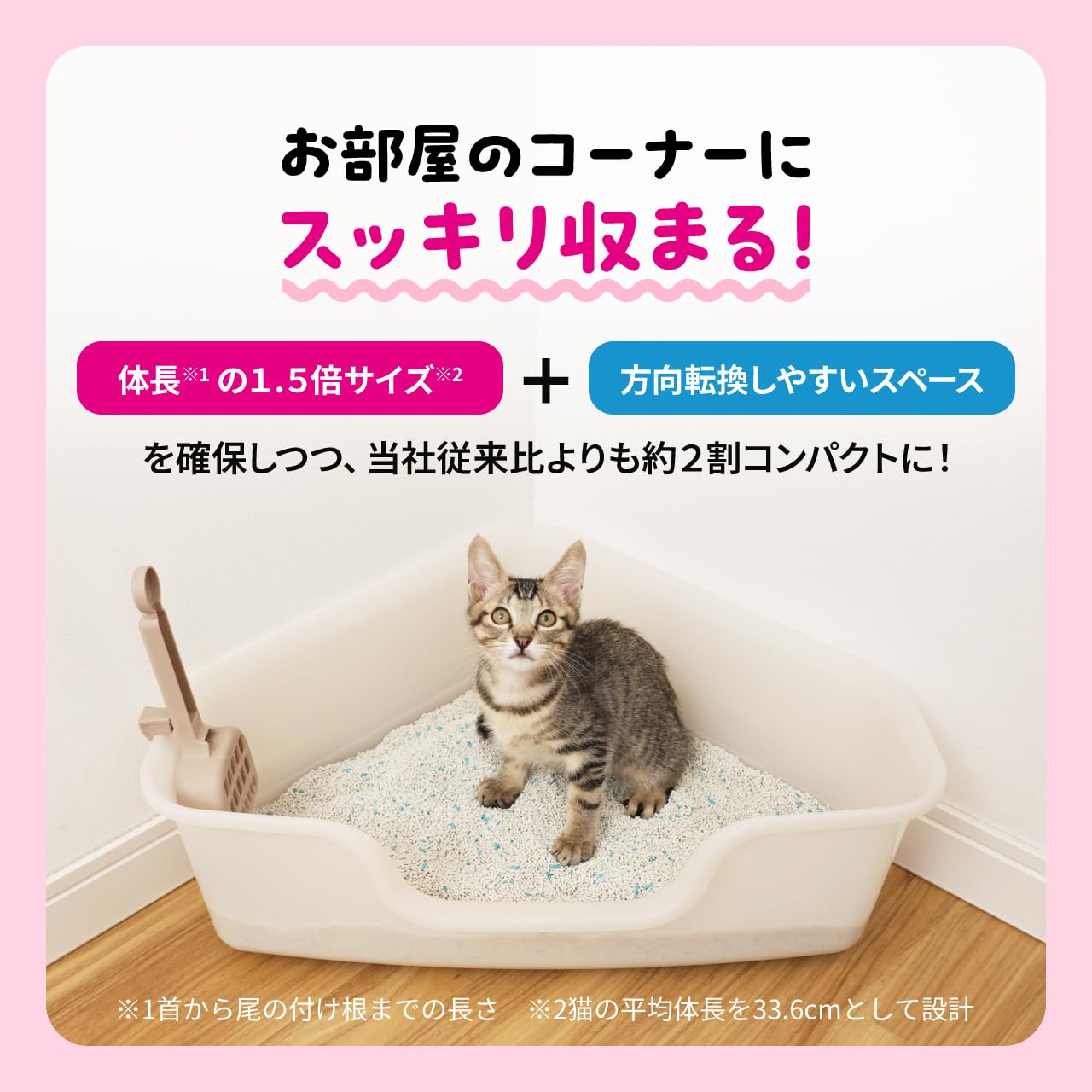 猫お迎えセット画像2 猫お迎えセット画像2