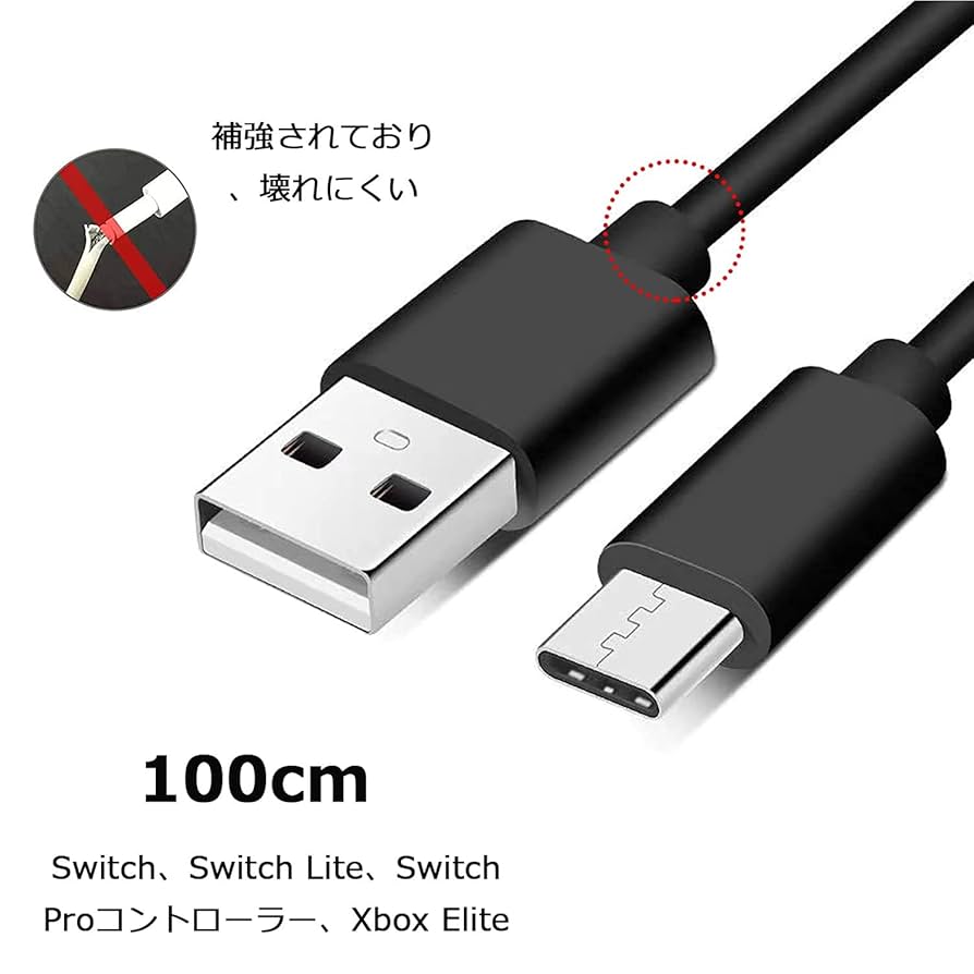 katuyayukari5　Switch(Light)本体+充電ケーブル Nintendo Switch 純正新品 SWITCH LITE ニンテンドー スイッチ