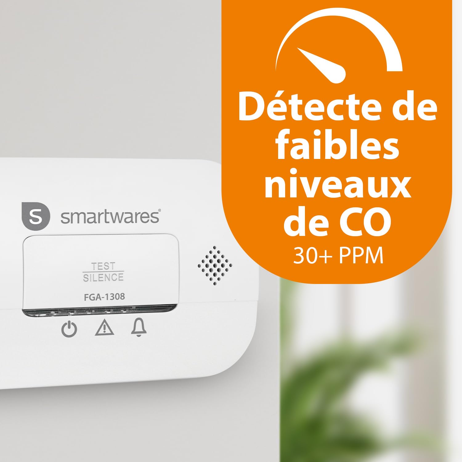 Smartwares Détecteur de monoxyde de Carbone - Certifié NF - Capteur 10 Ans - Piles 3 Ans - avec voyants Lumineux et Bouton de Test - FGA-13081FR