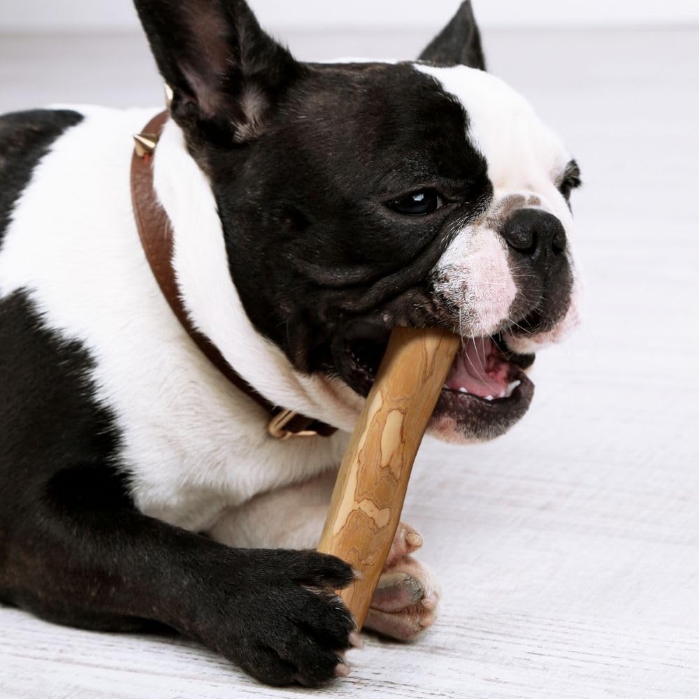 Wildfang Legno di Caffè Bastoncino Masticativo per Cani Piccoli (10-15 kg) - Gioco Dentizione Cuccioli