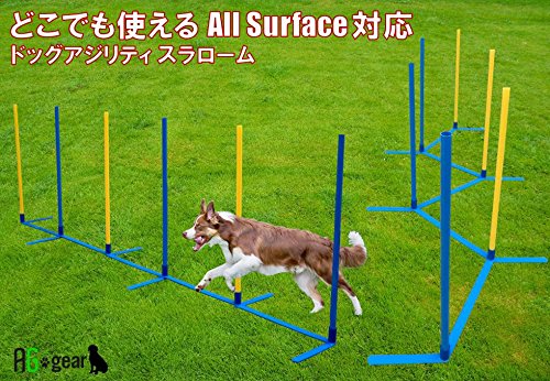 Amazon | 【JKC公認訓練士 推奨】犬用 アジリティ スラローム 障害物