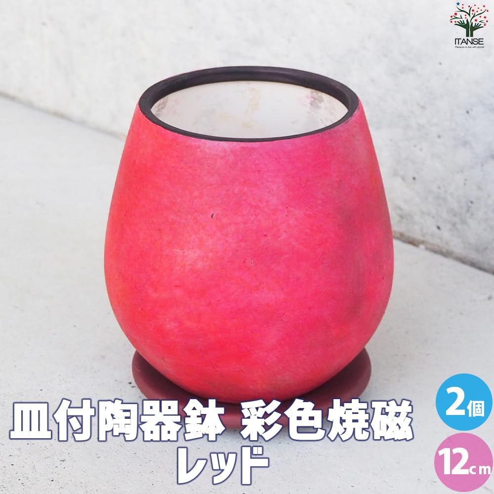 時代物色鮮やかな陶器の鉢 Amazon.co.jp: ITANSE 皿付陶器鉢 彩色焼磁 レッド 12cm 2個