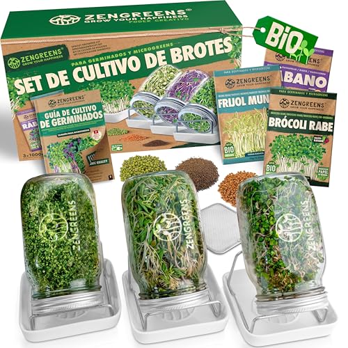 zengreens - Juego de 1, 2, 3 tarros de germinados ecológicos + Bandeja DE GERMINADOS - (Incl. Semillas de germinados ecológicos y Curso de vídeo Gratuito) - Juego de tarros de germinados (Set de 3)