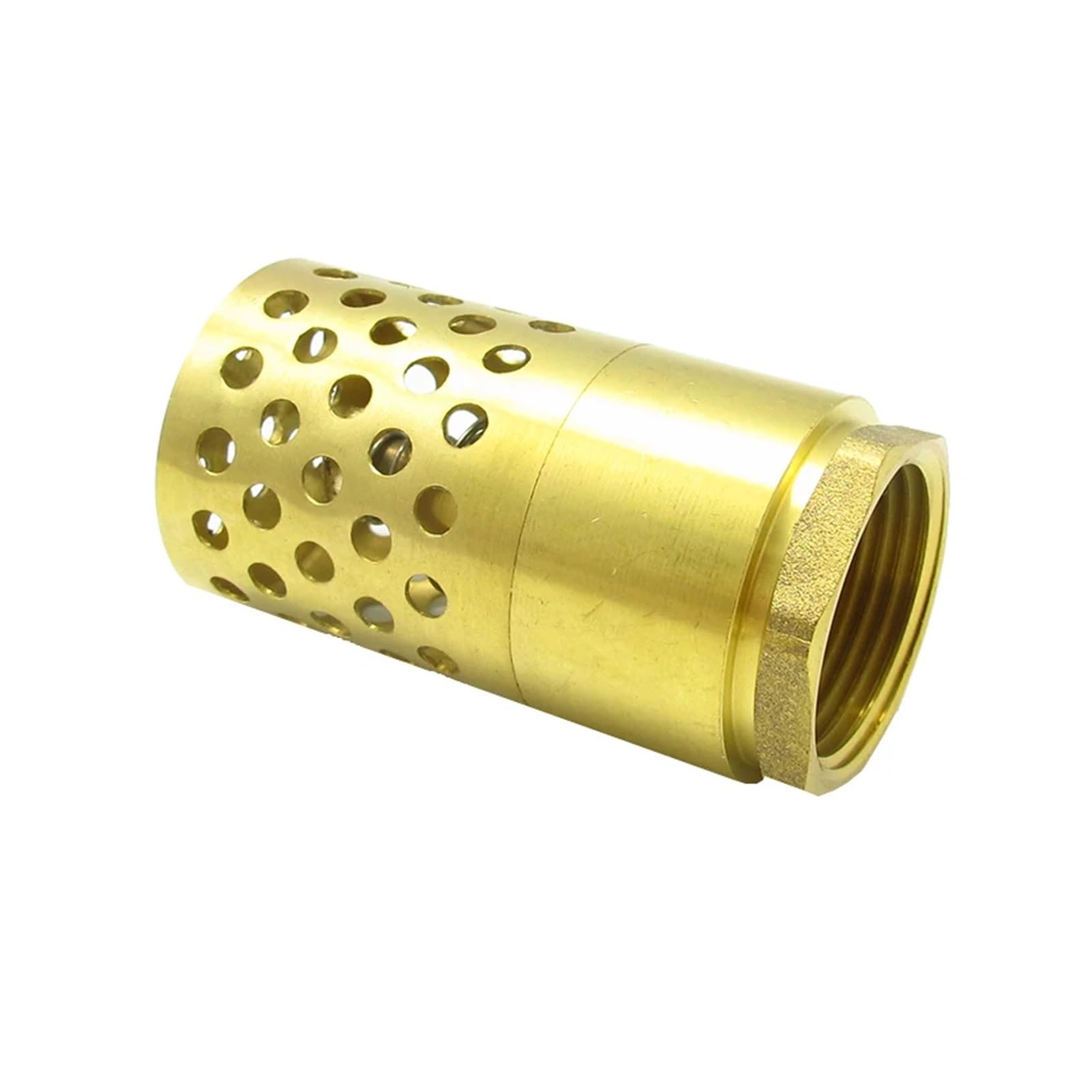 Válvula de retención de latón con rosca hembra de 3/4", 1", 1-1/4" y 1-1/2", válvula de pie for bomba de agua(1.5 Female)