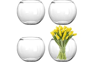 YOUEON Fishbowl Vase: Adorned Elegance for Décor and Nature