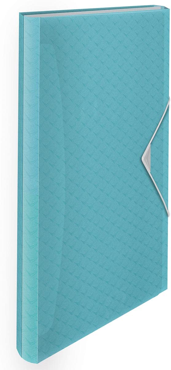 Classificatore Documenti Esselte Colour Ice Azzurro (33 x 26 x 25 cm)