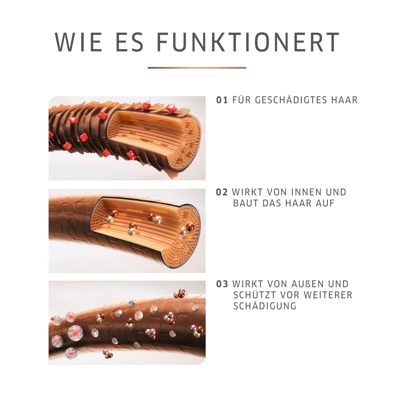 Wella Professionals Fusion Intense Repair Vorteils-Set – reparierende Haarpflege für kaputtes Haar – Set aus 1 L Shampoo und 1 L Conditioner – mit Aminosäuren und mikronisierten Lipiden
