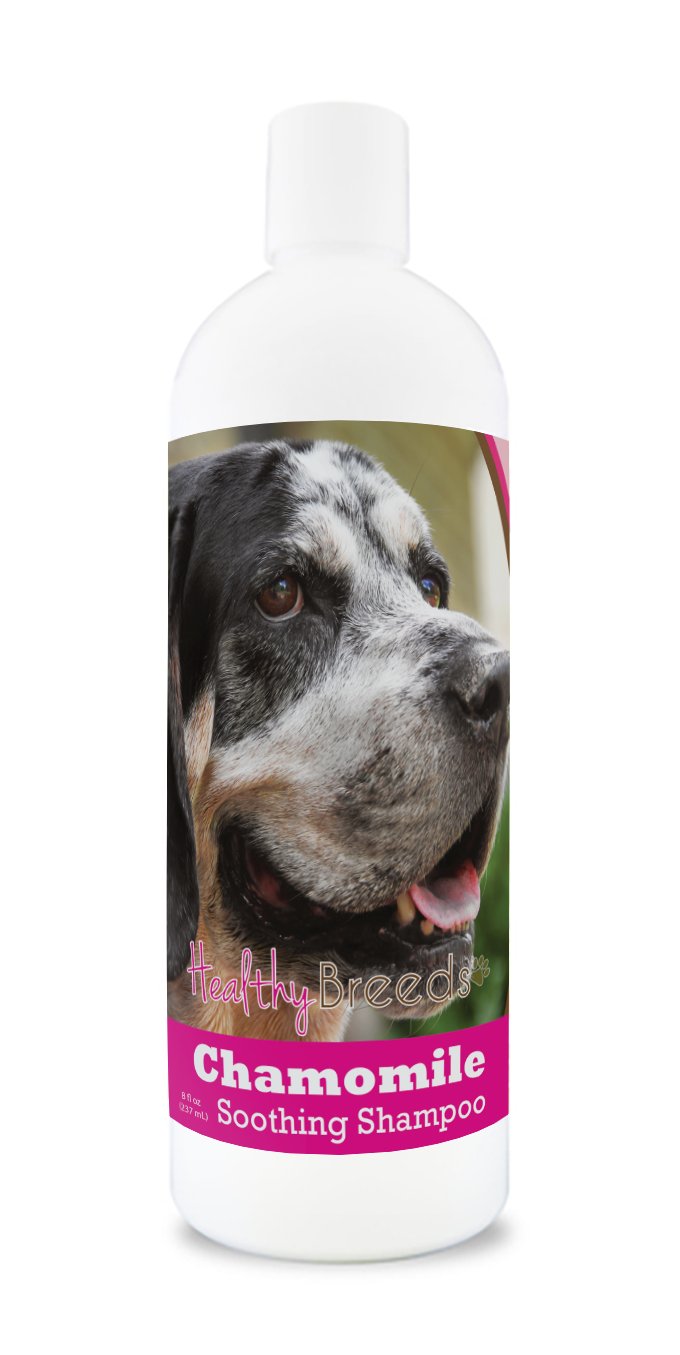 Healthy Breeds Yorkshire Terrier Chamomile Soothing Dog Shampoo 8 oz — view 120