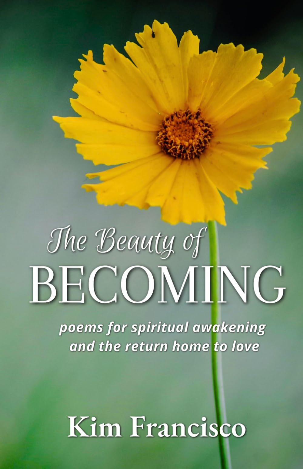 The Beauty of Becoming: Poems for Spiritual Awakening and The Return Home to Love