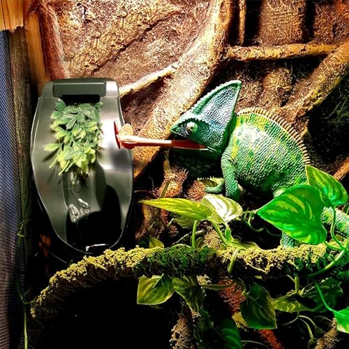 Fuente automática para reptiles, dispensador de agua de 1 litro con volumen ajustable, bajo consumo de energía para dragones barbudos, iguanas, ranas y gecos