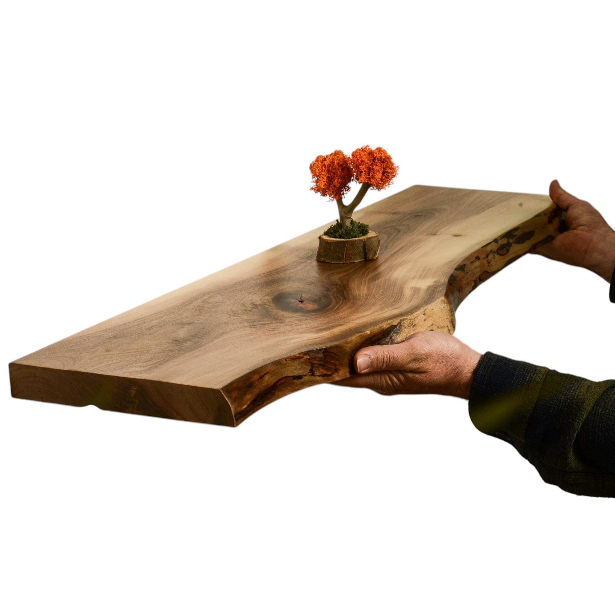 Ecca Shelf Live Edge Walnut Floating Shelf
