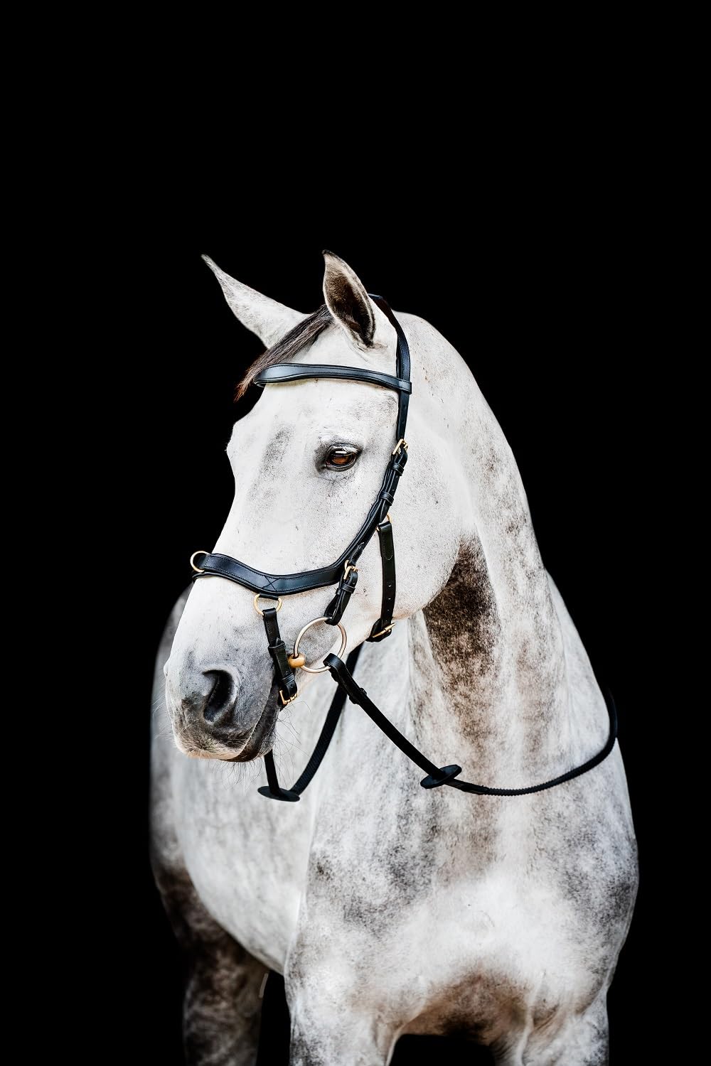 Horseware HW Micklem2 Multi Bridle, Warmblut, Schwarz