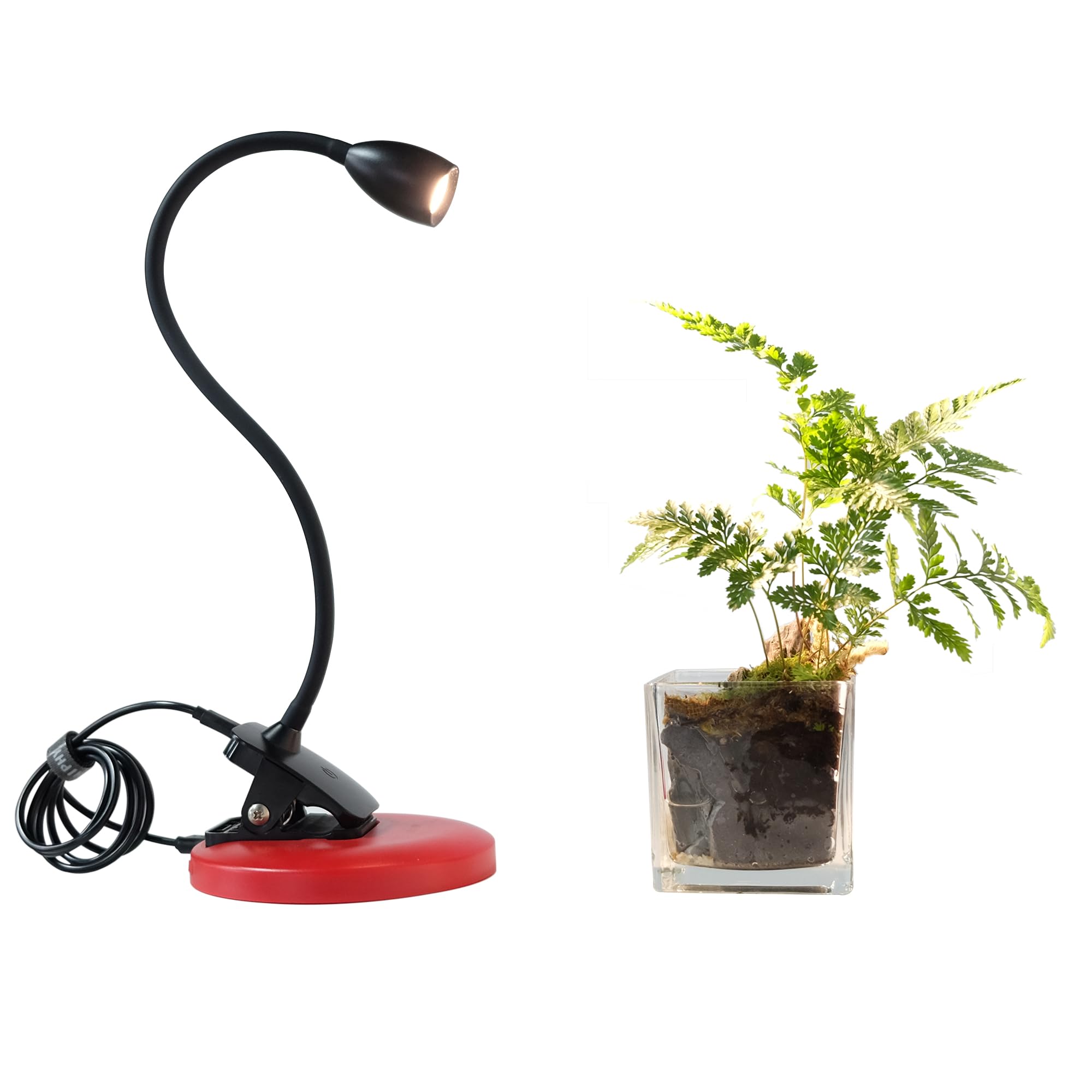 chiphy Grow Lights, Tabletop Grow Light, Clip-On Full Spectrum Plant Light for Indoor Plants, Dimmable Brightness, Ideal for Small Succulent Plants