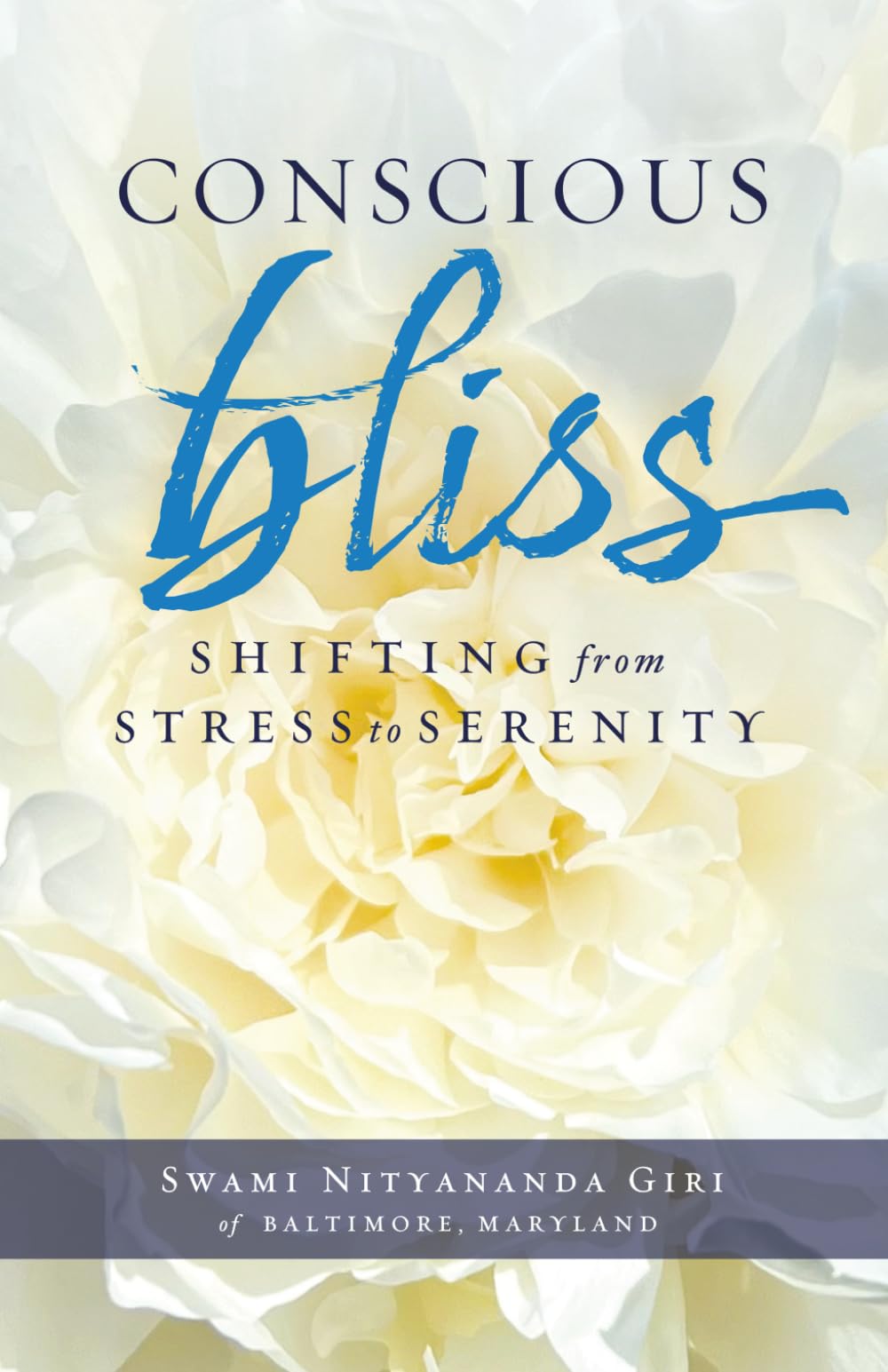 Conscious Bliss: Shifting from Stress to Serenity