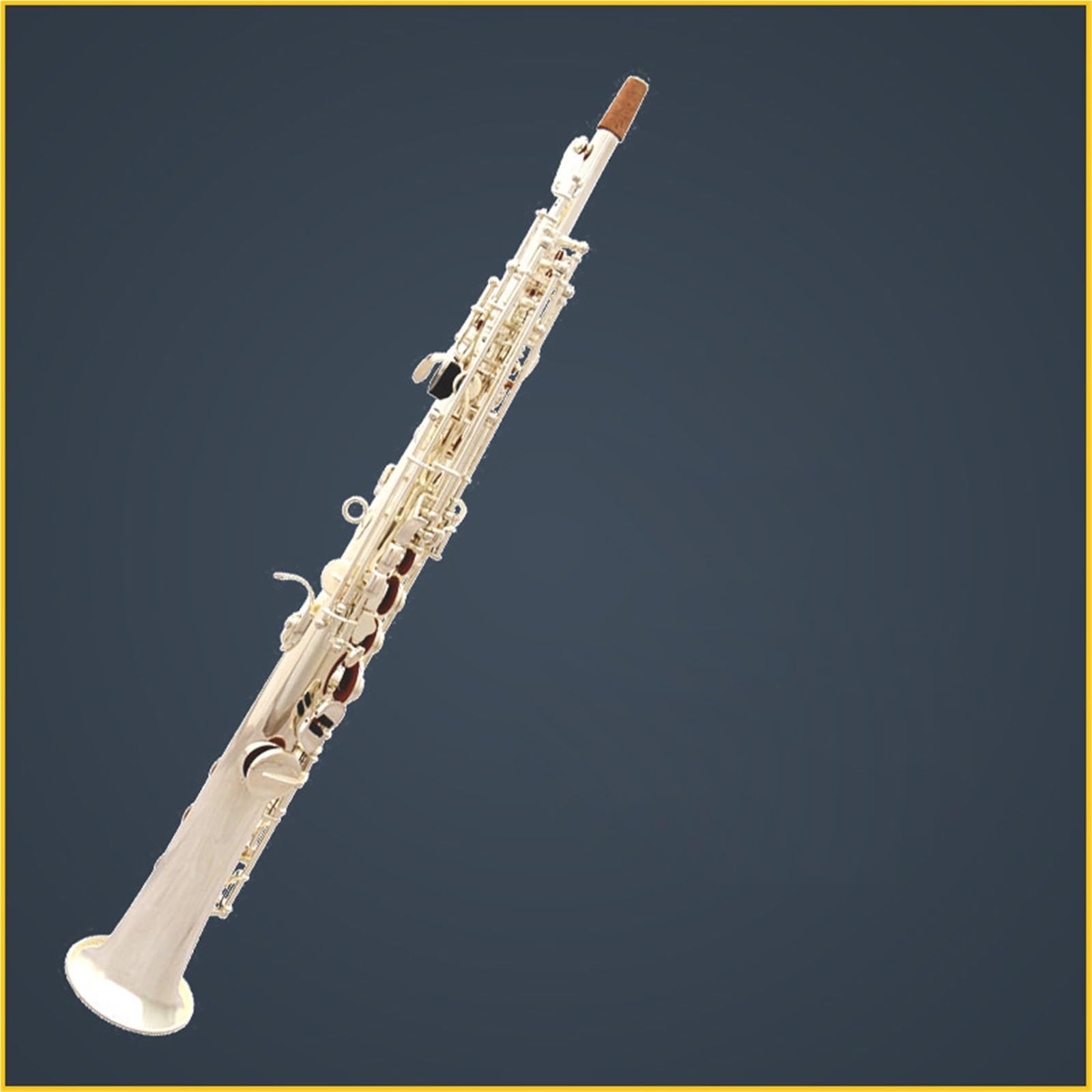 Strumento Sassofono Sassofono Strumento Musicale Sassofono Strumento a fiato Sassofono Soprano Si bemolle Argentato con Scatola