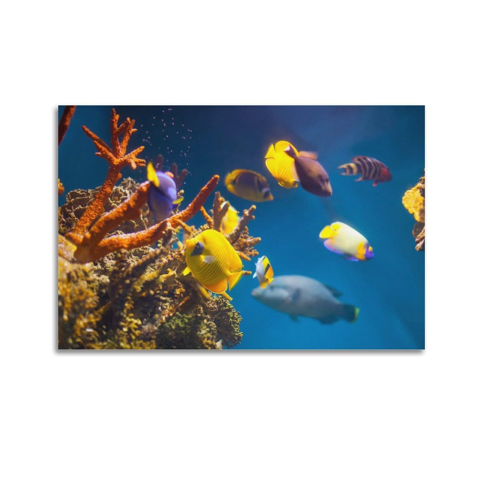 CXHJCA Sea Life Poster Colorful Fish Poster Decorative Painting Canvas Wall Posters And Art Picture Print Modern Family Bedroom Decor Posters 24x36inch(60x90cm)