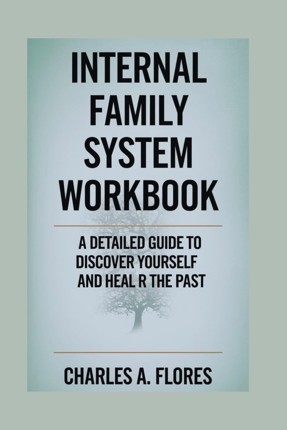 INTERNAL FAMILY SYSTEM WORKBOOK