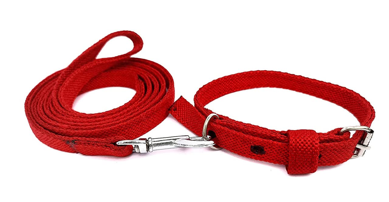 Dog Trust Leash for Puppy, Nylon Dog Leash for Puppies,Cat,/ Dog Neck Collar or Dog Rope Set for Small Dogs82 (B09TJ3QMYG) Amazon Price History, Amazon Price Tracker